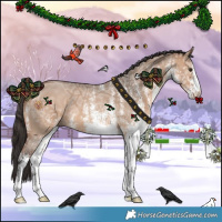 Horse Color:White Spotted Bay Ice Dun