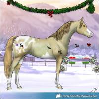 Horse Color:Watercolor Gold Champagne Appaloosa 