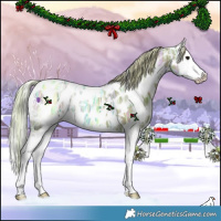 Horse Color:Watercolor White Spotted Silver Black Ice Splash Near Leopard 