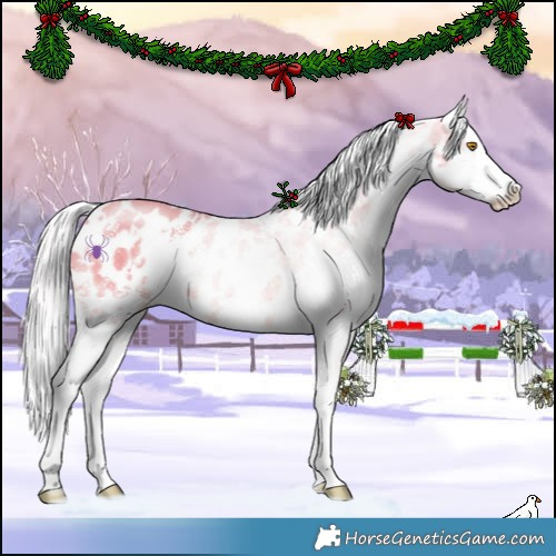 Horse Color:Watercolor White Spotted Silver Classic Champagne Mushroom Sabino Appaloosa 