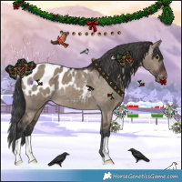 Horse Color:Brown Dun Blanket 
