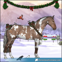 Horse Color:White Spotted Liver Red Dun Mushroom