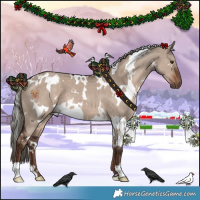 Horse Color:White Spotted Liver Red Dun Mushroom 