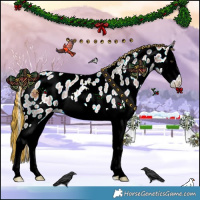 Horse Color:Painted Silver Bay Roan Dun Splash Appaloosa 