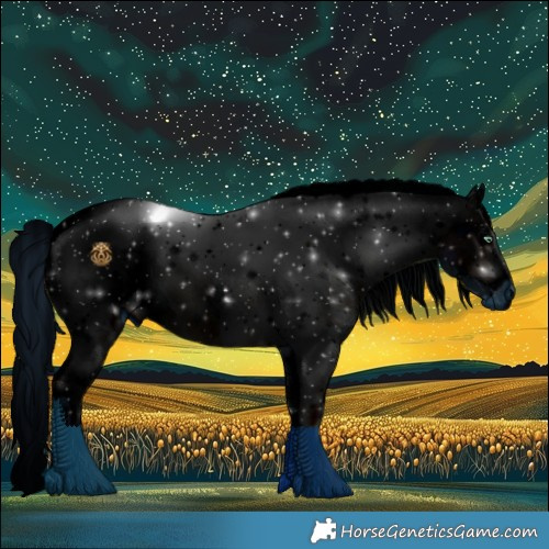 Horse Color:ERROR: UNKNOWN ANOMALY