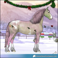 Horse Color:Watercolor Buckskin Appaloosa Rabicano 