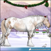 Horse Color:White Spotted Chocolate Palomino Ice 