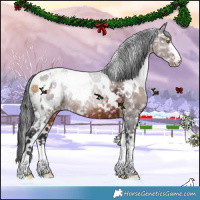 Horse Color:White Spotted Brown Ice Appaloosa Rabicano 