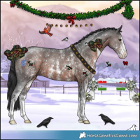 Horse Color:Brown Sabino 