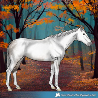 Horse Color:Gray Bay Dun Tobiano 