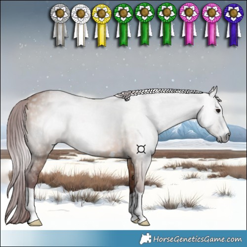 Horse Color:Gray Chocolate Bay Dun 