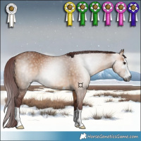 Horse Color:Gray Chocolate Bay Dun 