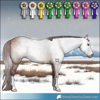 Horse Color:Gray Chocolate Bay Dun 