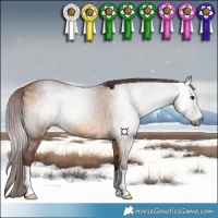 Horse Color:Gray Chocolate Bay Dun 
