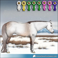 Horse Color:Gray Chocolate Bay Dun