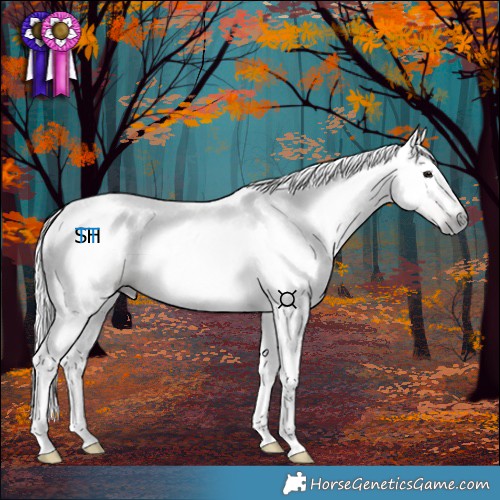 Horse Color:Gray Chocolate Bay Dun 