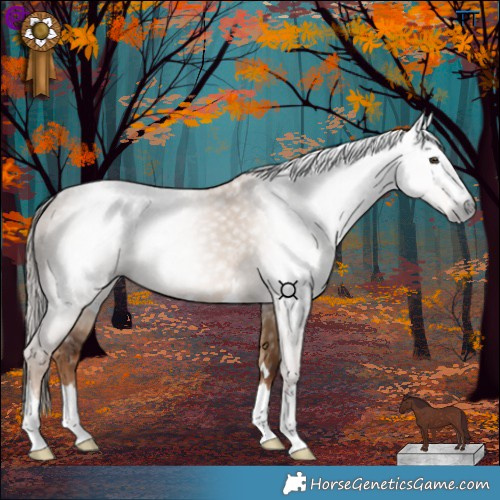 Horse Color:Gray Red Dun