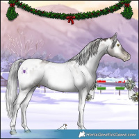 Horse Color:Gray Platinum White Spotted Silver Brown Pearl Onyx Mushroom Tobiano 