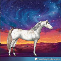 Horse Color:Buckskin Dun Snowflake Varnish  and White Spotted Silver Buckskin Dun Tobiano Snowflake Varnish 