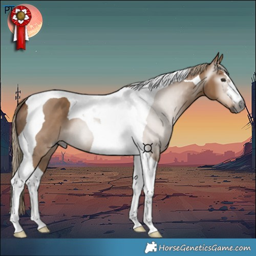 Horse Color:Gray Red Dun Tobiano 