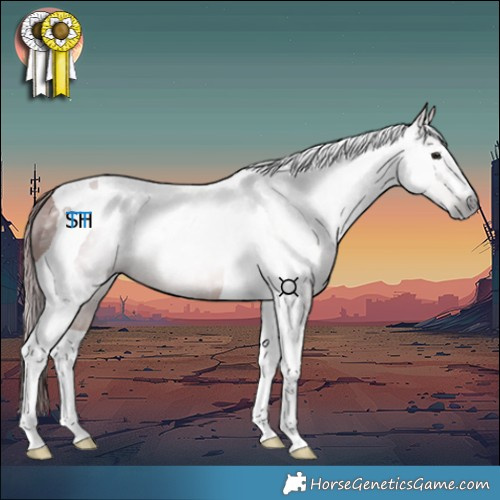 Horse Color:Gray Chocolate Bay Tobiano 