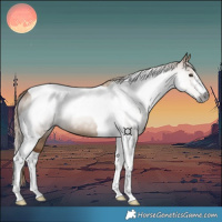Horse Color:Gray Red Dun Tobiano 