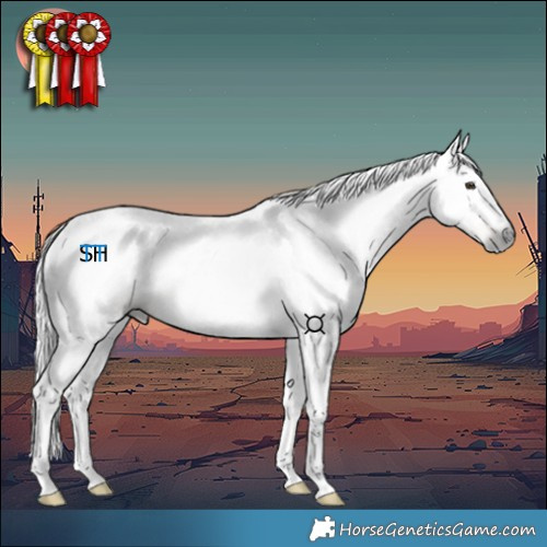 Horse Color:Gray Red Dun 