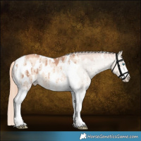 Horse Color:Gold Champagne Dun Sabino Tobiano Blanket Brindle 