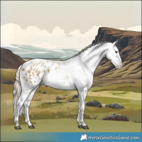 Horse Color:Powder White Chocolate Palomino Dun Appaloosa  and Powder White Chocolate Palomino Dun Appaloosa 