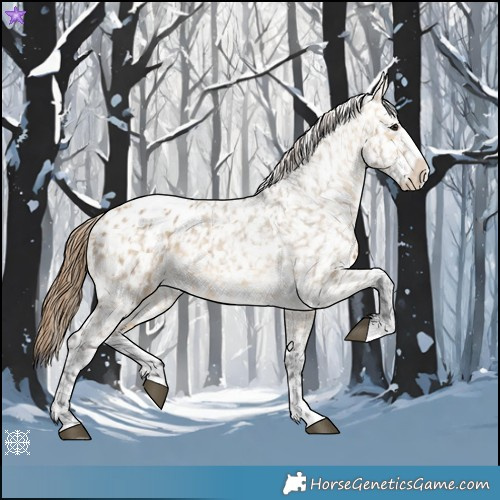 Horse Color:Buckskin Dun Appaloosa  and Buckskin Dun Splash Appaloosa 