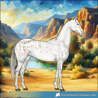 Horse Color:Liver Red Dun Mushroom Appaloosa  and Chocolate Palomino Dun Appaloosa 