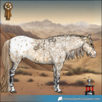 Horse Color:Buckskin Dun Tobiano Appaloosa and Buckskin Dun Appaloosa