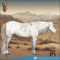 Horse Color:Buckskin Dun Tobiano Appaloosa and Buckskin Dun Appaloosa
