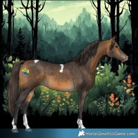 Horse Color:Buckskin Tobiano