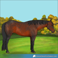 Horse Color:Brown 