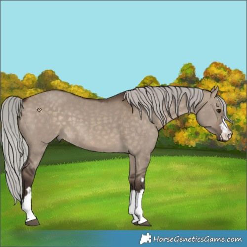 Horse Color:Silver Brown Dun