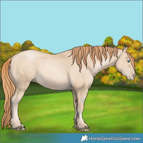 Horse Color:Buckskin Pearl 