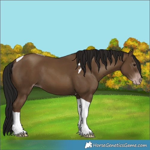 Horse Color:Gray Classic Champagne Tobiano