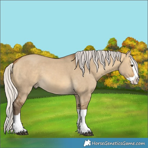 Horse Color:Silver Buckskin Dun Splash 