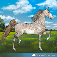 Horse Color:Buckskin Dun Snowflake Varnish  and Buckskin Dun Frame Snowflake Varnish 