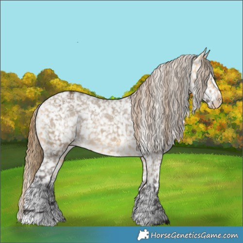 Horse Color:Buckskin Dun Appaloosa  and Buckskin Dun Appaloosa 