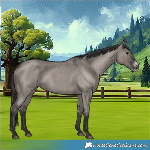 Horse Color:Smoky Grullo Roan Frame