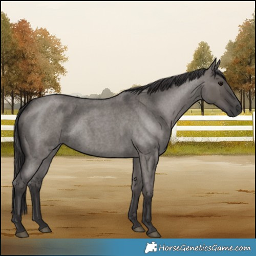 Horse Color:Smoky Grullo Roan