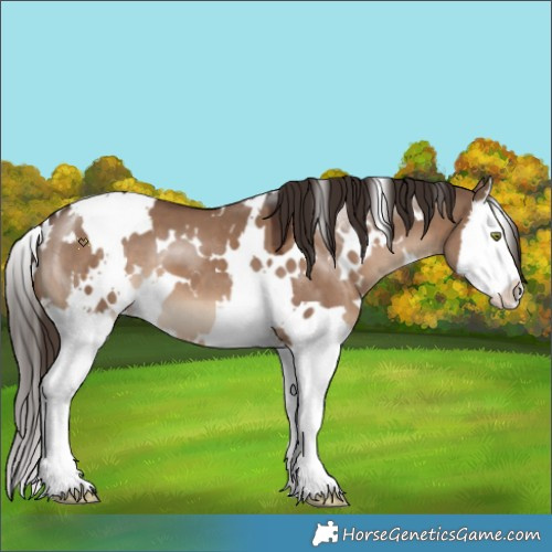 Horse Color:White Spotted Liver Red Dun Splash 