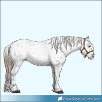 Horse Color:Smoky Grullo Roan Snowflake Varnish  and Smoky Grullo Roan Snowflake Varnish 