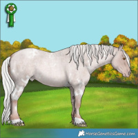 Horse Color:Platinum White Spotted Silver Classic Champagne Roan