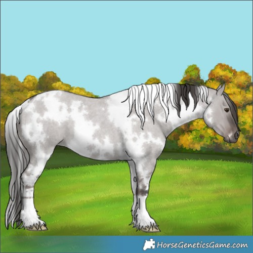 Horse Color:Platinum White Spotted Liver Red Dun Roan 