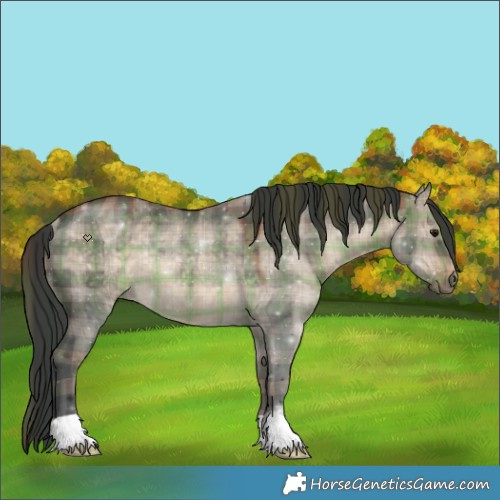 Horse Color:Plaid  Brown Dun Rabicano 