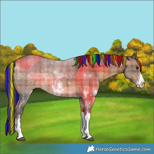 Horse Color:Painted Plaid Brown Sabino