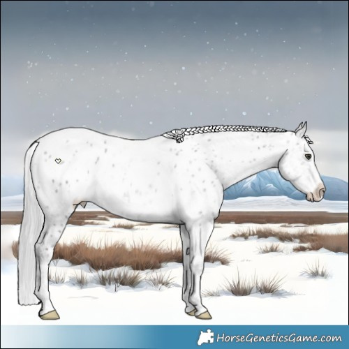 Horse Color:White Spotted Grullo Chinchilla Ice Appaloosa Rabicano 